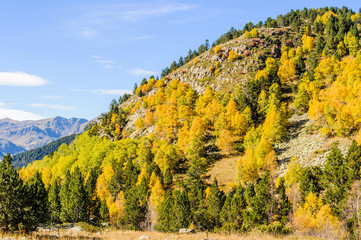 Colorful Fall landscape in the Valley of Estanyo River, Andorra