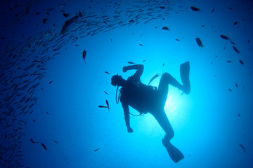 Scuba divers diving