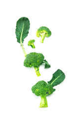 fresh green broccoli on white background