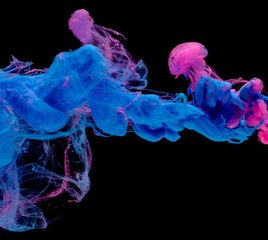 Blue pink clouds of ink in liquid isolated on black
