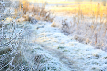 Beautiful winter nature with a path