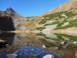 reflection in a mountain lake
