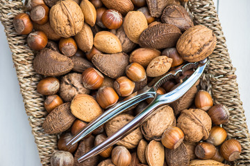 Nutcracker and Shelled  Nuts