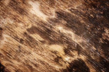 Old wood texture