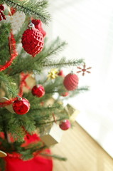 クリスマスツリー