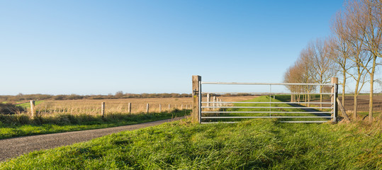 Closed iron gate in a rural landscape