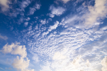 Naklejka na ściany i meble beautiful blue sky with tiny cloud