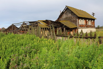 Very old wooden house in the remote Russian village in summer