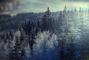 Foto auf Acrylglas Wald im Nebel Wintersportort