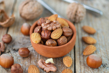 Various nuts: walnut, hazelnuts, almonds