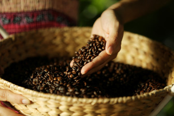 Female hand touching coffee beans in the basket