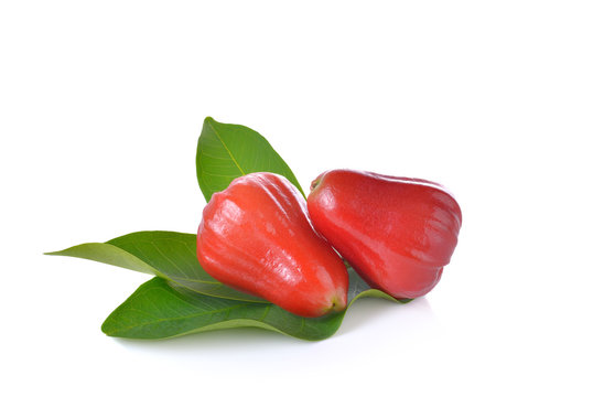 Rose apples or chomphu  on white background.