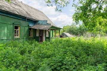 Old abandoned wooden house among wild tall weeds and trees. Bolshaya Doroga village, Tambovsky region, Russia.   © shujaa_777