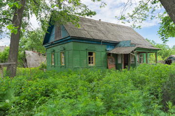 Fototapeta na wymiar Old abandoned wooden house among wild tall weeds and trees. Bolshaya Doroga village, Tambovsky region, Russia. 