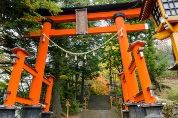Visit Chureito Pagoda stairs during autumn
