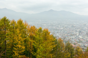 Fototapeta premium city view during autumn