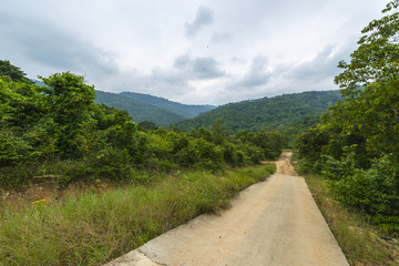 Fototapeta na wymiar Tourist hikers in Thailand forest