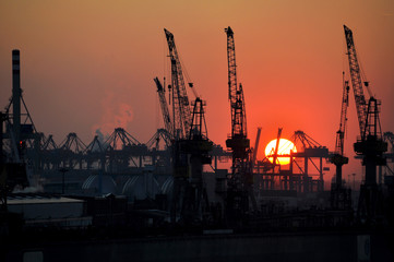 Kräne bei Sonnenuntergang