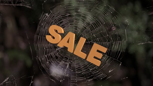 Spider web sale abstract