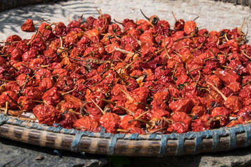 Dry Red Chillies - 97887849