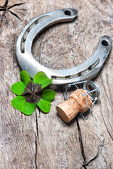 Horseshoe and shamrock