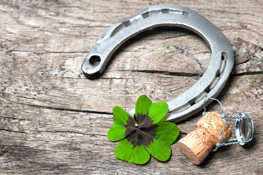 Horseshoe and shamrock