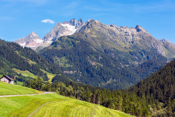 Fototapeta premium Swiss mountains with green land landscape