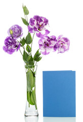 Flowers in vase with a blank postcard isolated on white backgrou