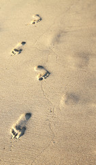 footprints in the sand in Thailand