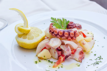 Appetizer of cuttlefish octopus and potatoes