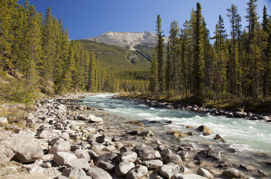 athabaska river Jasper Alberta