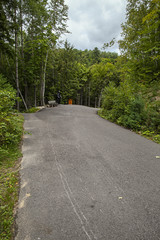 Canada road into the forest
