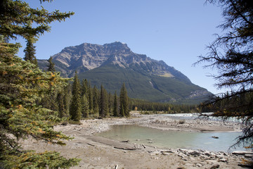 canadian rockies jasper national park