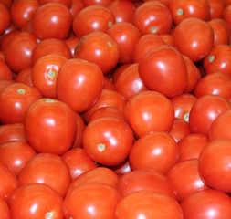tomates