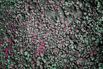 cracked soil.