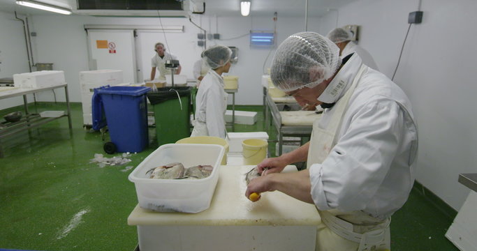 Fish workers at a seafood processing plant