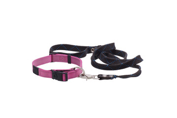 Dog leash and collar.
