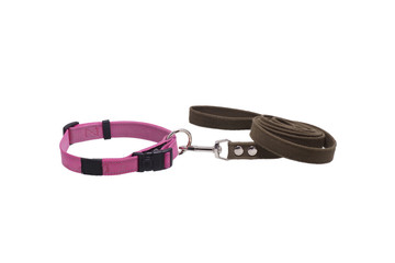 Dog leash and collar.