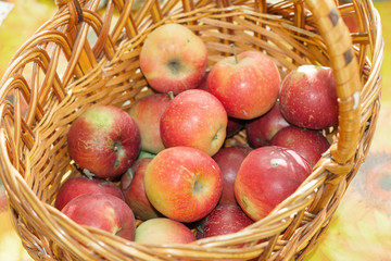 apples basket