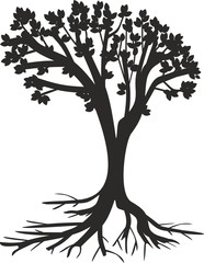 Fototapeta premium silhouette of tree with roots