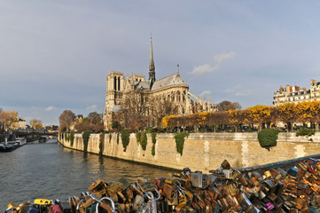 Parigi, la cattedrale di Notre Dame