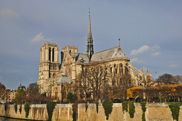 Fototapeta na wymiar Parigi, la cattedrale di Notre Dame