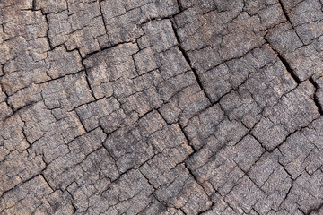 Fototapeta premium grunge wooden texture