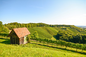 View at an old wooden hut in the vineyard, Southern Styria Austria