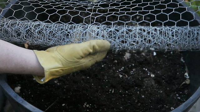 A man with work gloves unrolls a length of chicken wire.