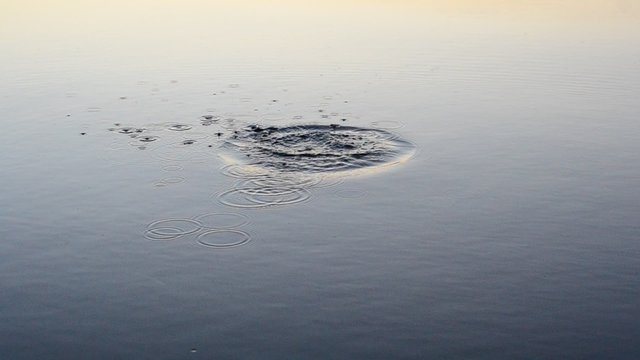 Stone falls into water and plops producing rings on surface