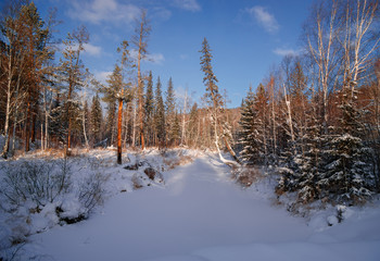 River Olkha in winter
