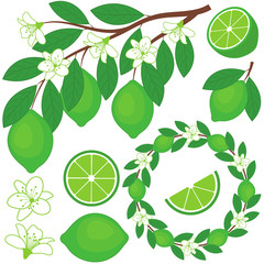Lime Set