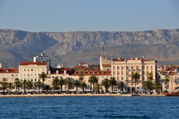 Набережная с пальмами в городе