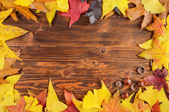 Vivid autumn leaves and acorn frame background